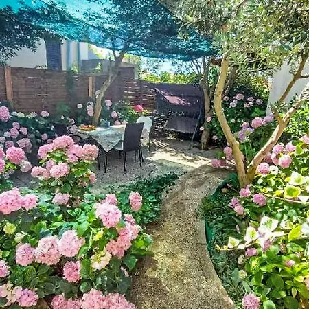 Lavander By Interhome Apartment